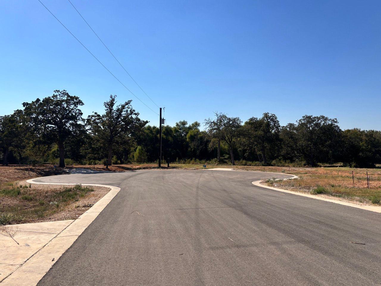 208 Acadia Bnd Elgin, TX 78621