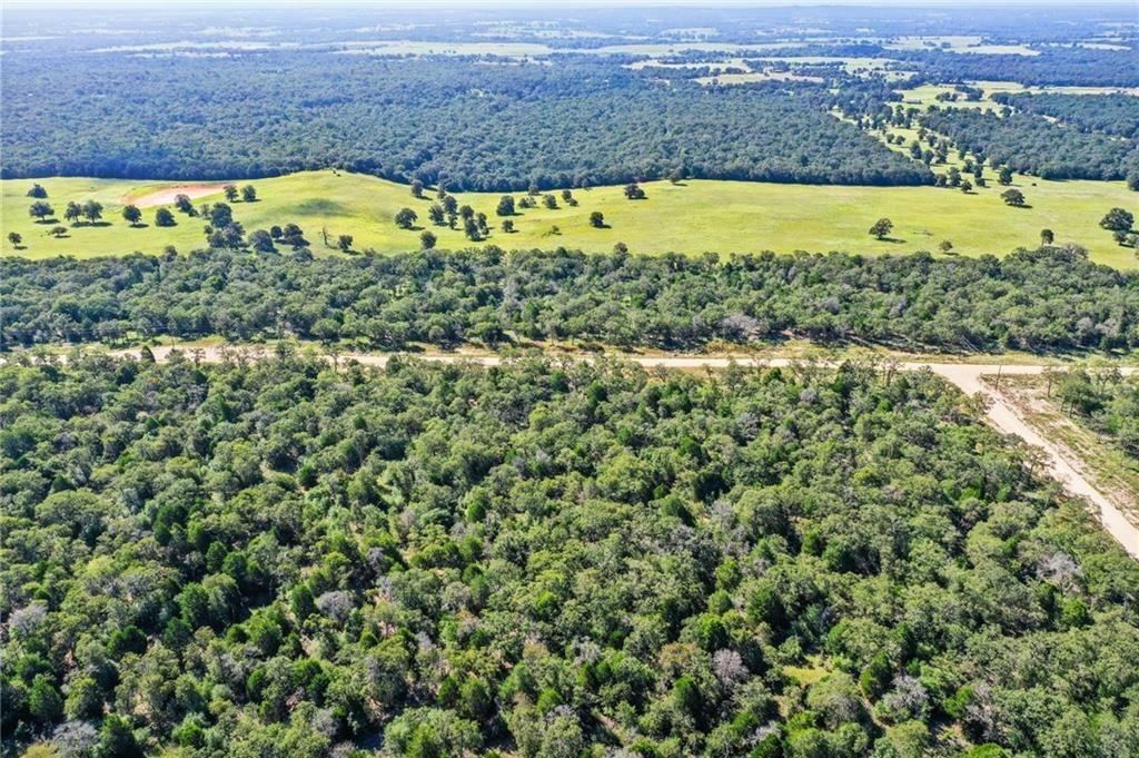 1136 Oak View Ln #Lot 22 Thrall, TX 76578