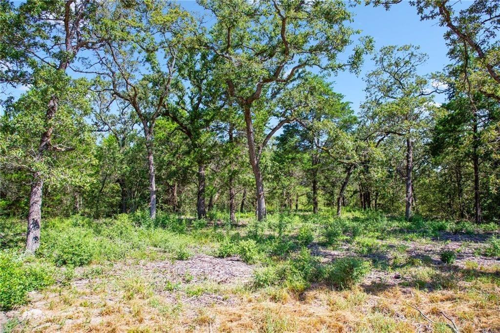 1136 Oak View Ln #Lot 22 Thrall, TX 76578