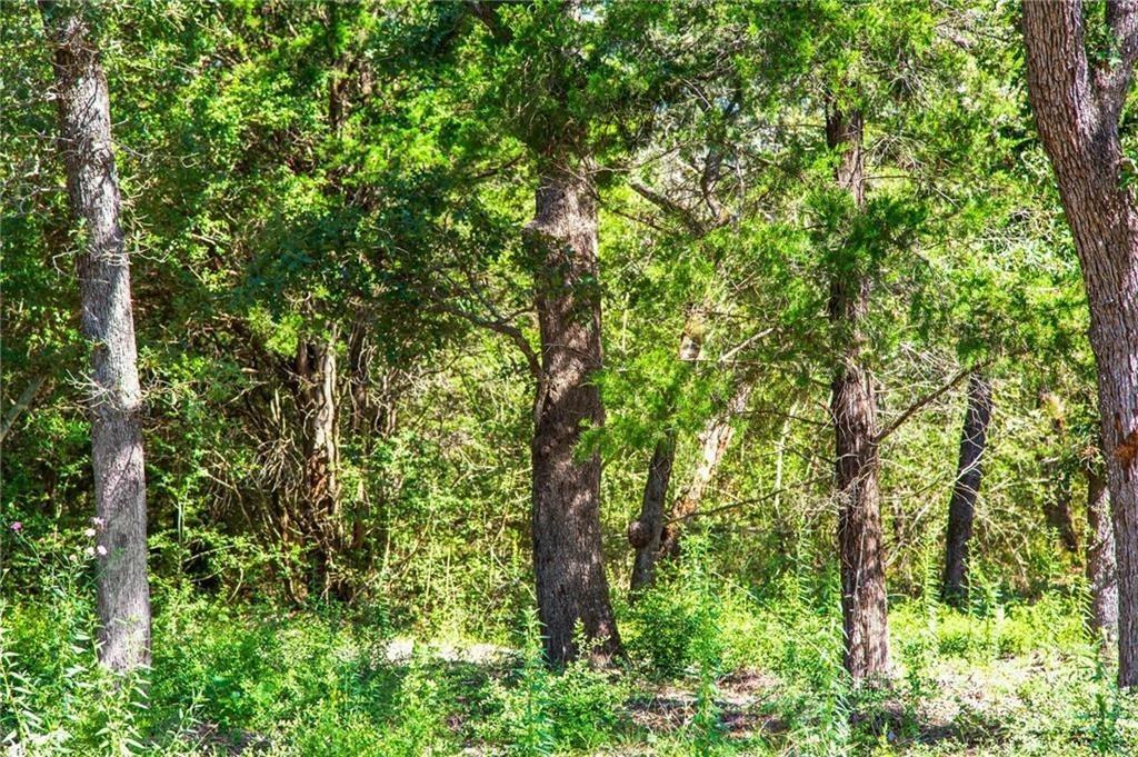 1136 Oak View Ln #Lot 22 Thrall, TX 76578