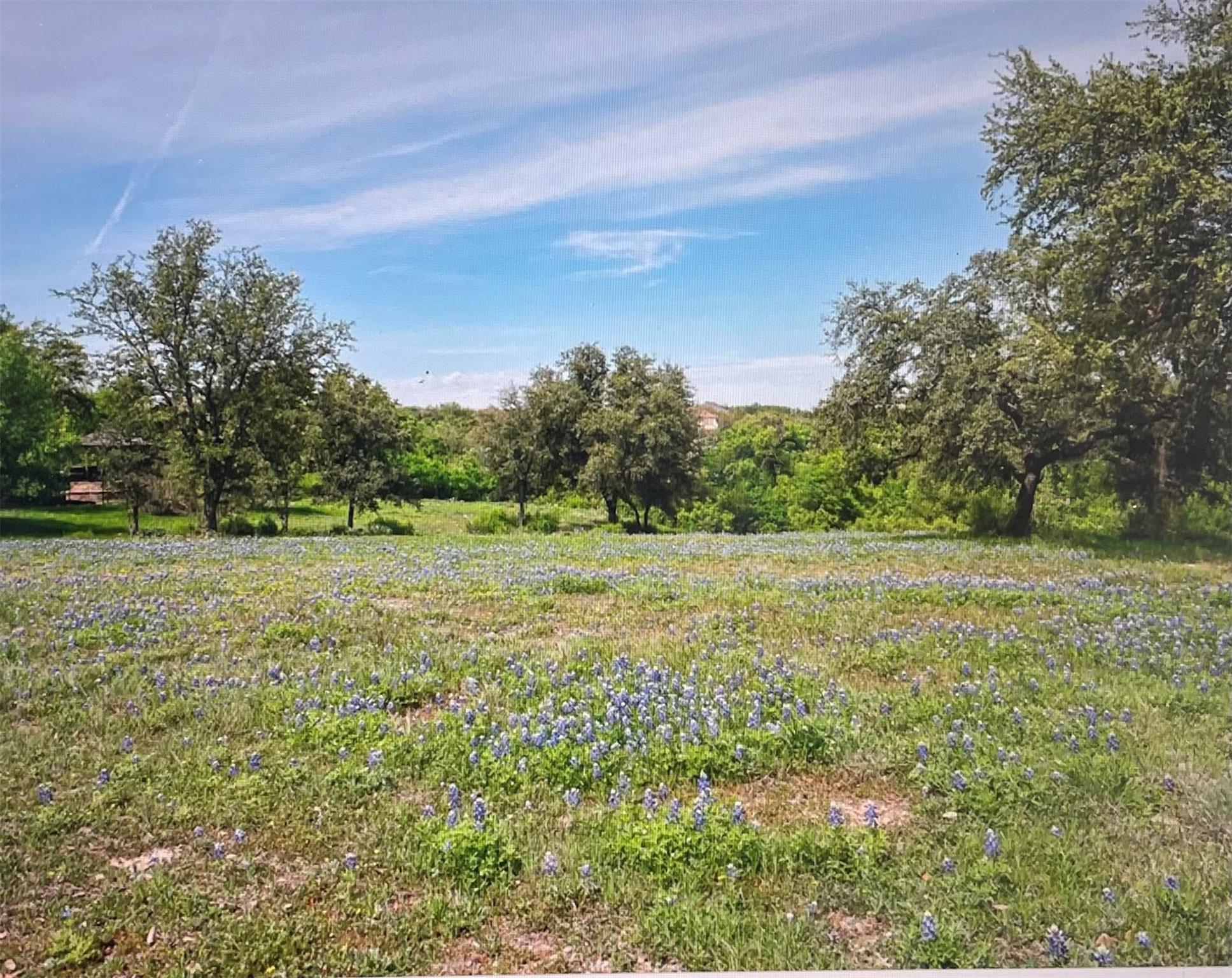 26006 Masters PKWY Spicewood, TX 78669