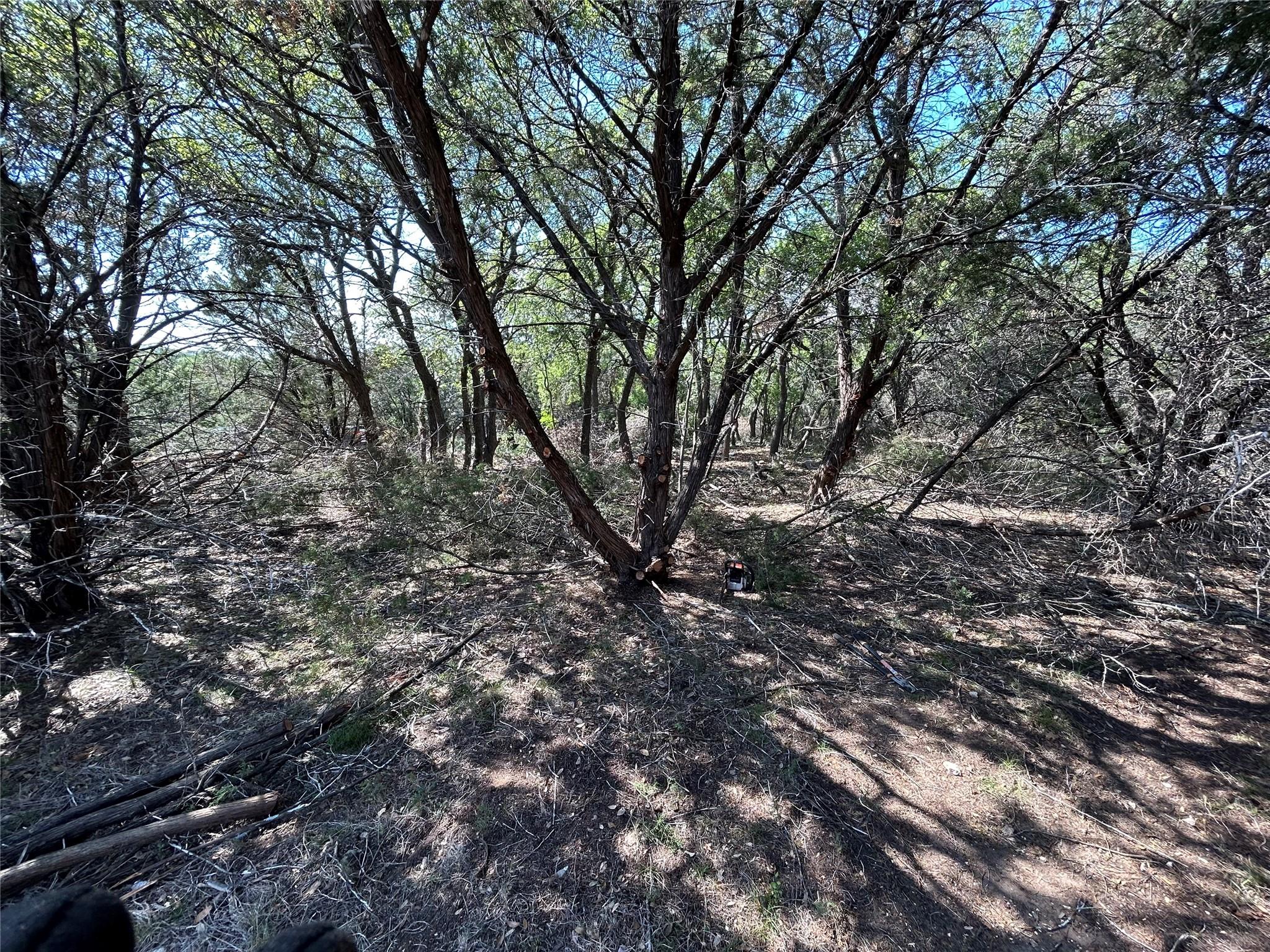 22300 Briarview Dr Spicewood, TX 78669