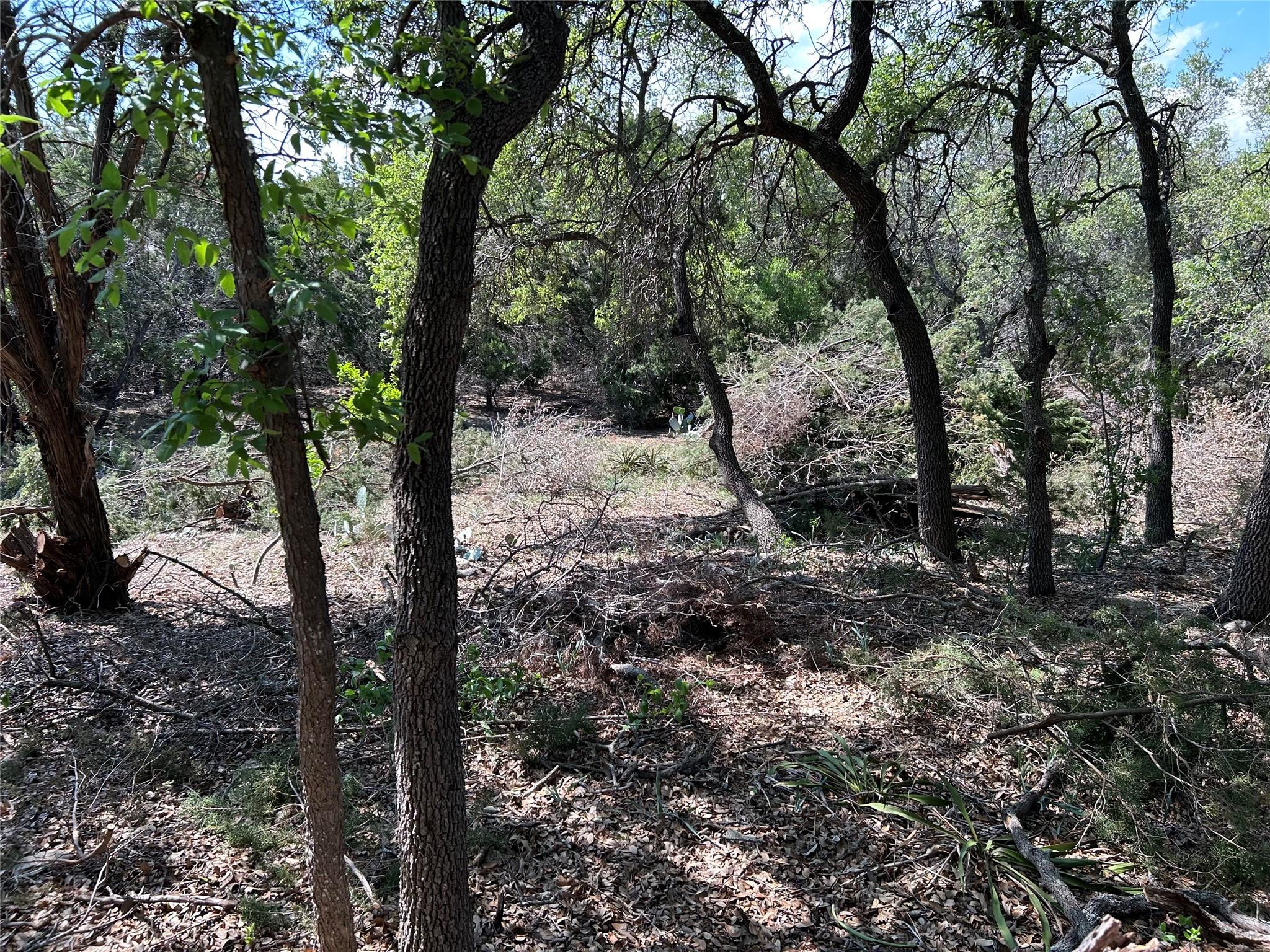 22300 Briarview Dr Spicewood, TX 78669