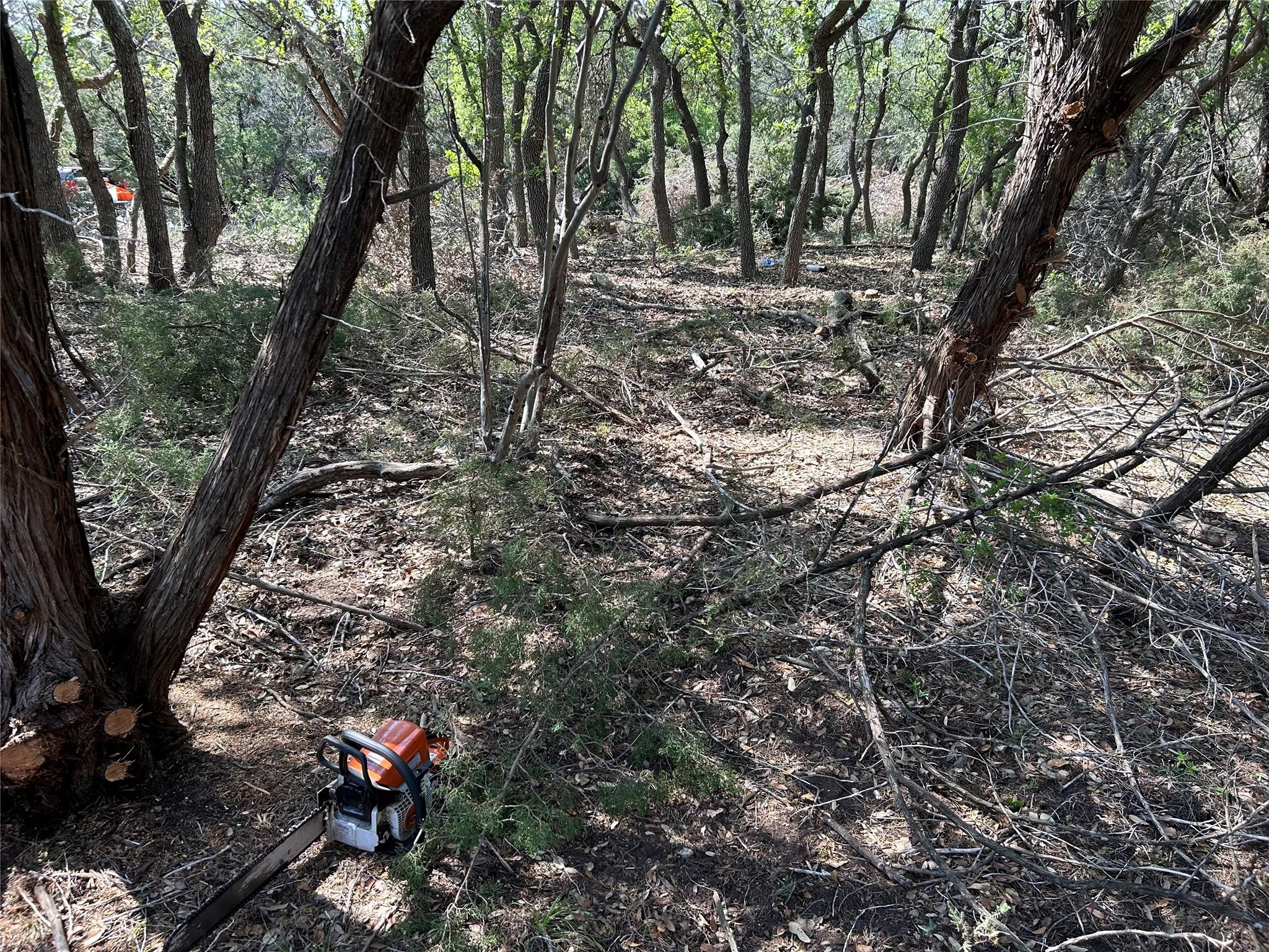 22300 Briarview Dr Spicewood, TX 78669