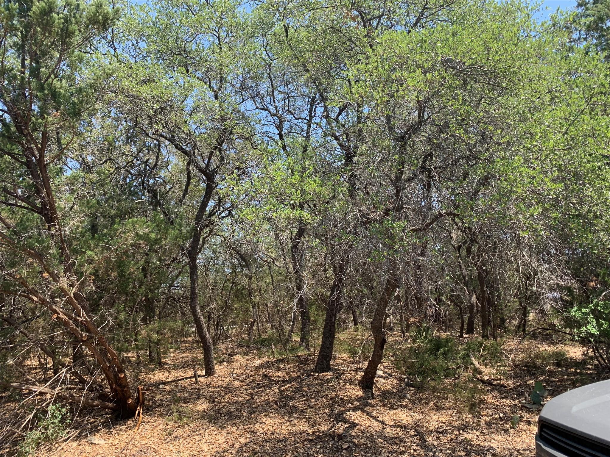 22300 Briarview Dr Spicewood, TX 78669