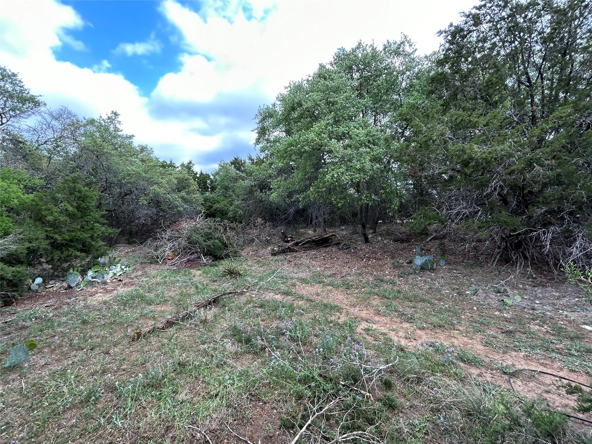 22300 Briarview Dr Spicewood, TX 78669