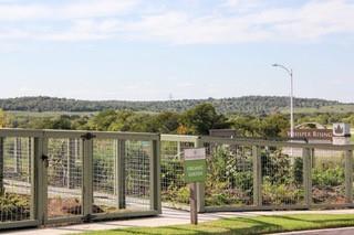 9616 Whispher Willow Blvd Manor, TX 78653