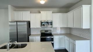 9616 Whispher Willow Blvd Manor, TX 78653