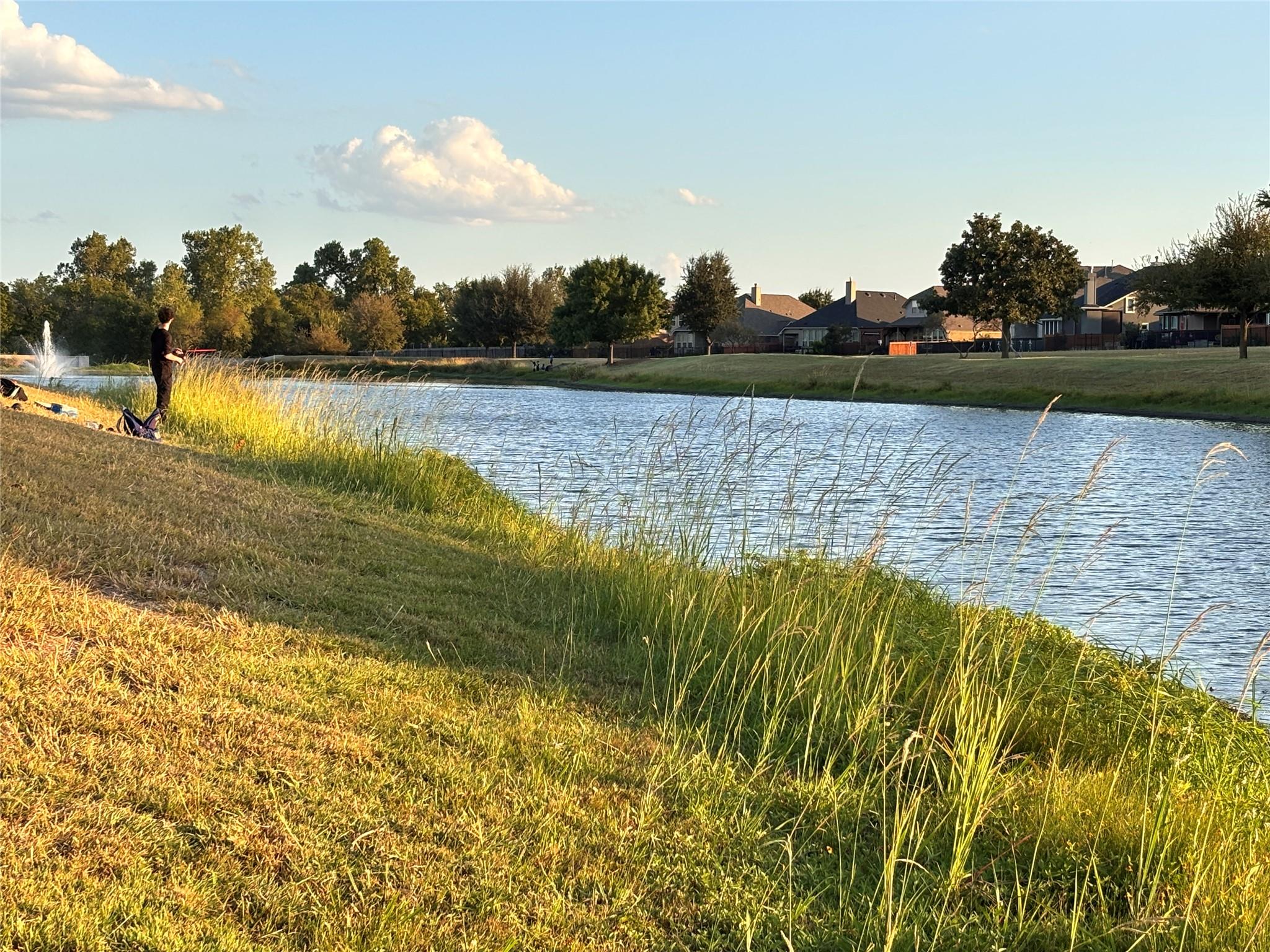 3113 Pasqueflower PASS Pflugerville, TX 78660