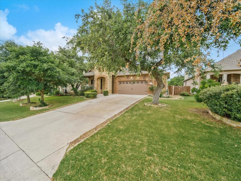 910 Wild Rose Dr Austin, TX 78737