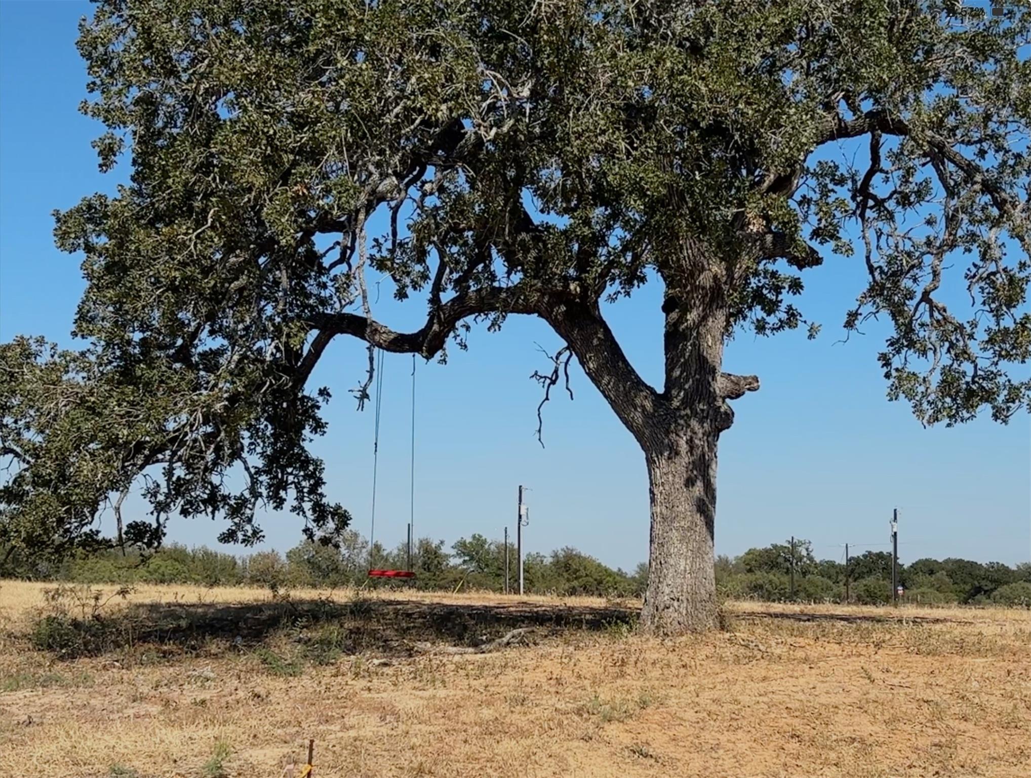 167 Palisade Rd Elgin, TX 78621