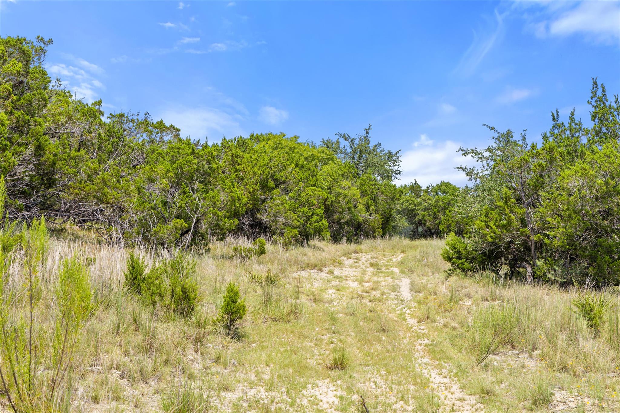 Lot 162 Legacy Hills Johnson City, TX 78636